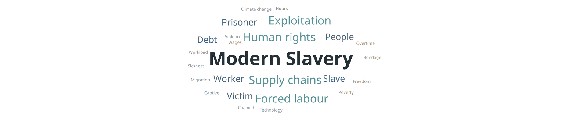 Modern Slavery External Briefing