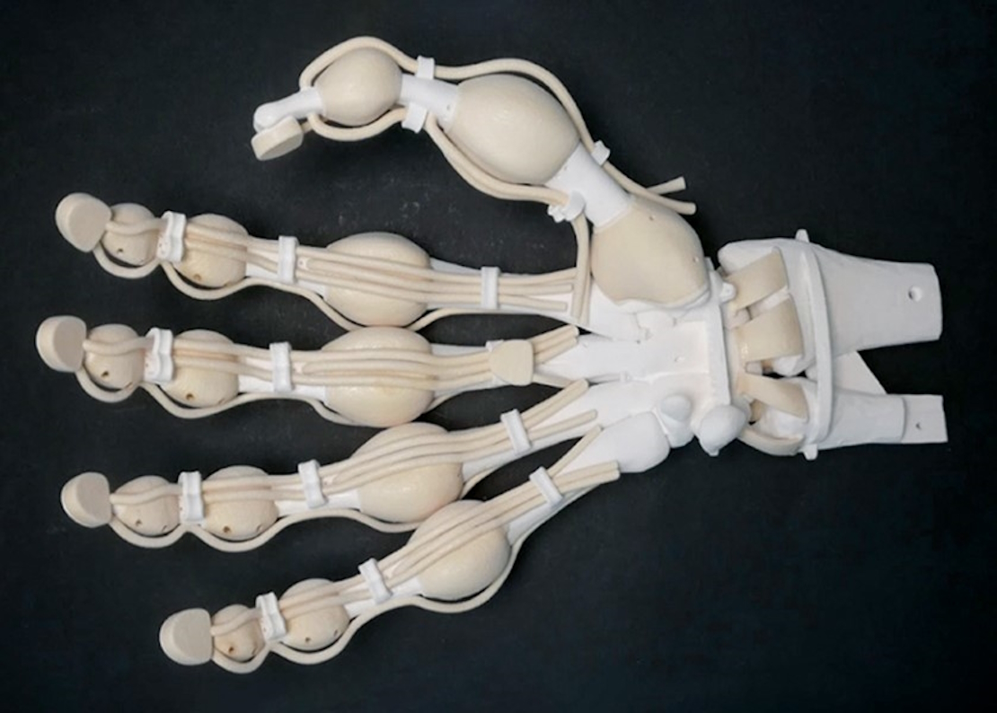 A hand created by a 3D printing process that is multi-material capable, being able to print hard and soft materials in a single pass using an ink-jet printer-like method. Source: Nature