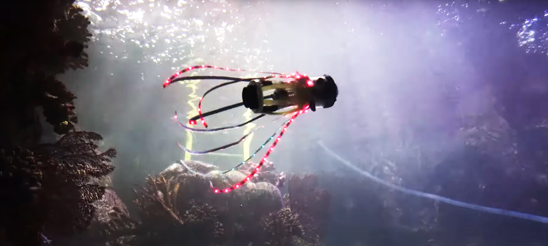 Robotic Squid shown in underwater environment